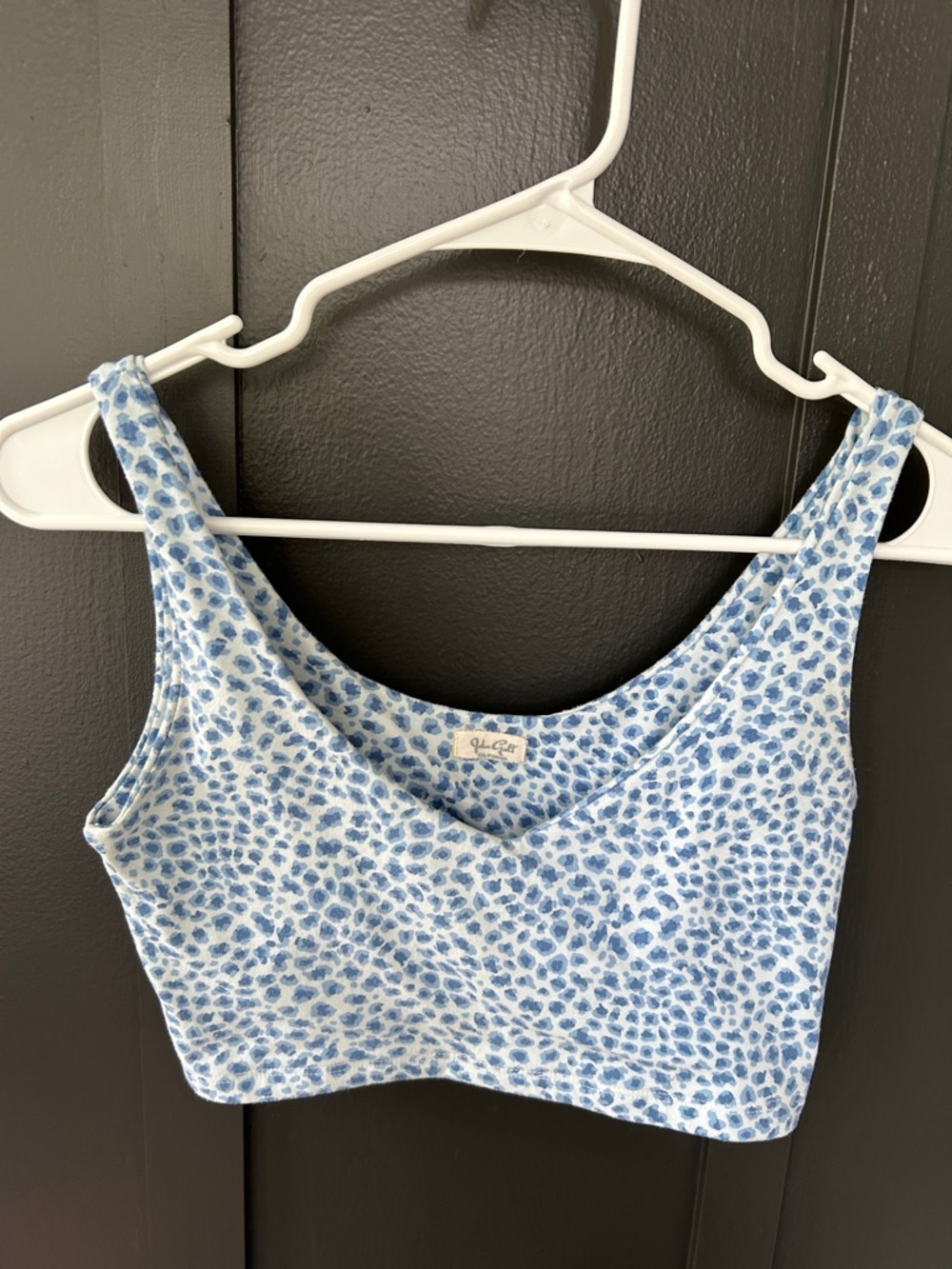 John Gault/Brandy Melville Light Blue Printed V-Neck Crop Top